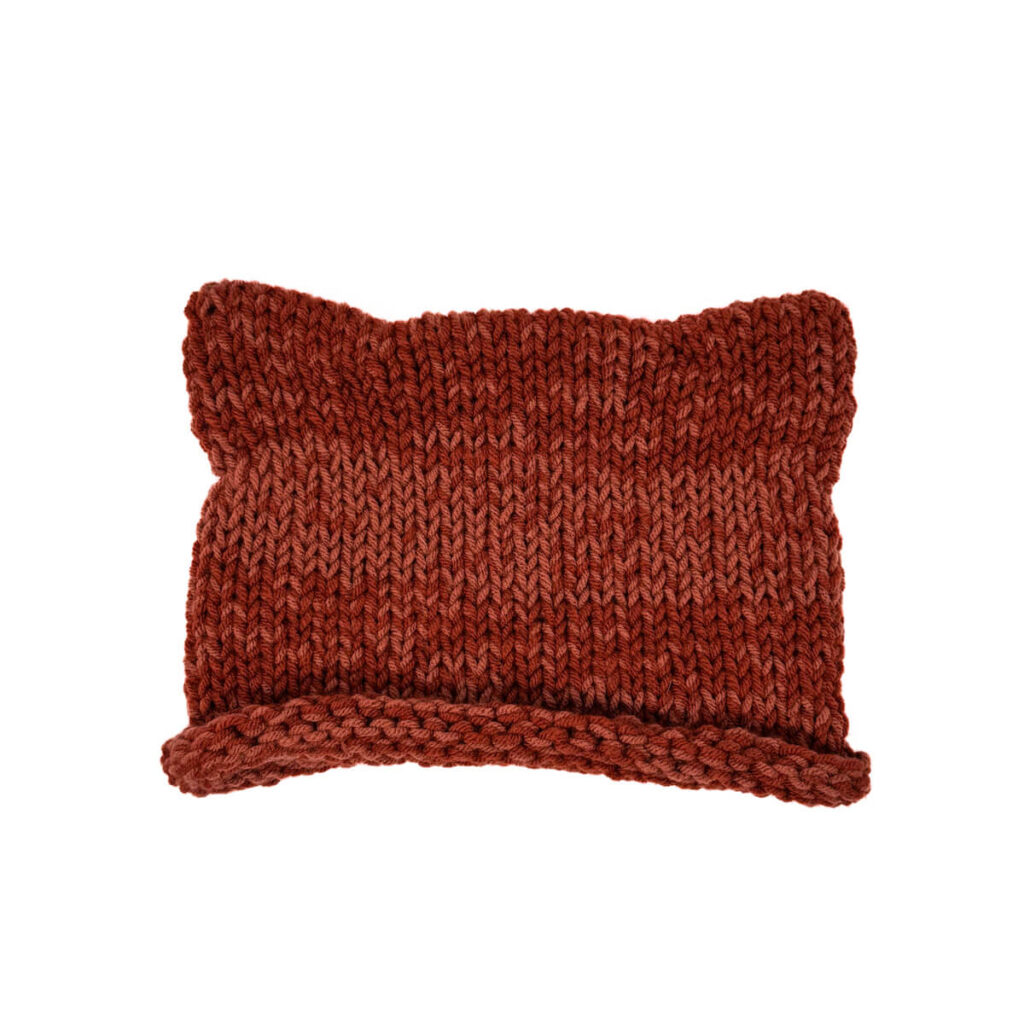 Cat-Ear Hat: Ginger and Brick